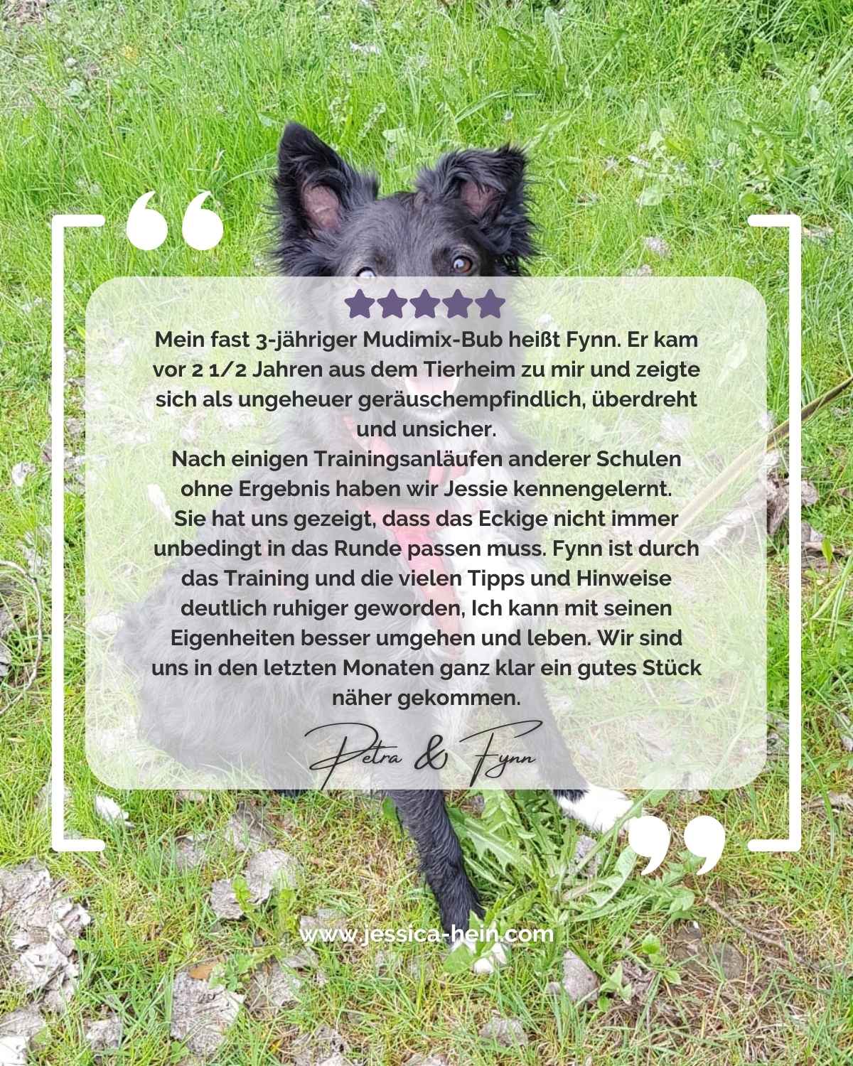 Kundenstimme Petra & Fynn Kundenstimme Petra Fynn