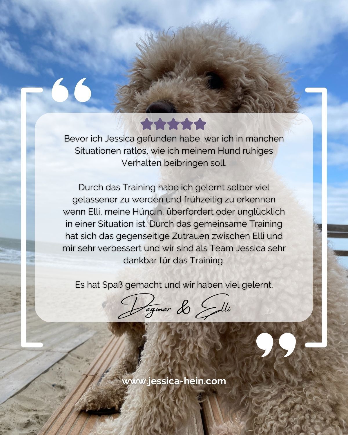 1 Hundetraining, Einzeltraining, Kundinnenstimme