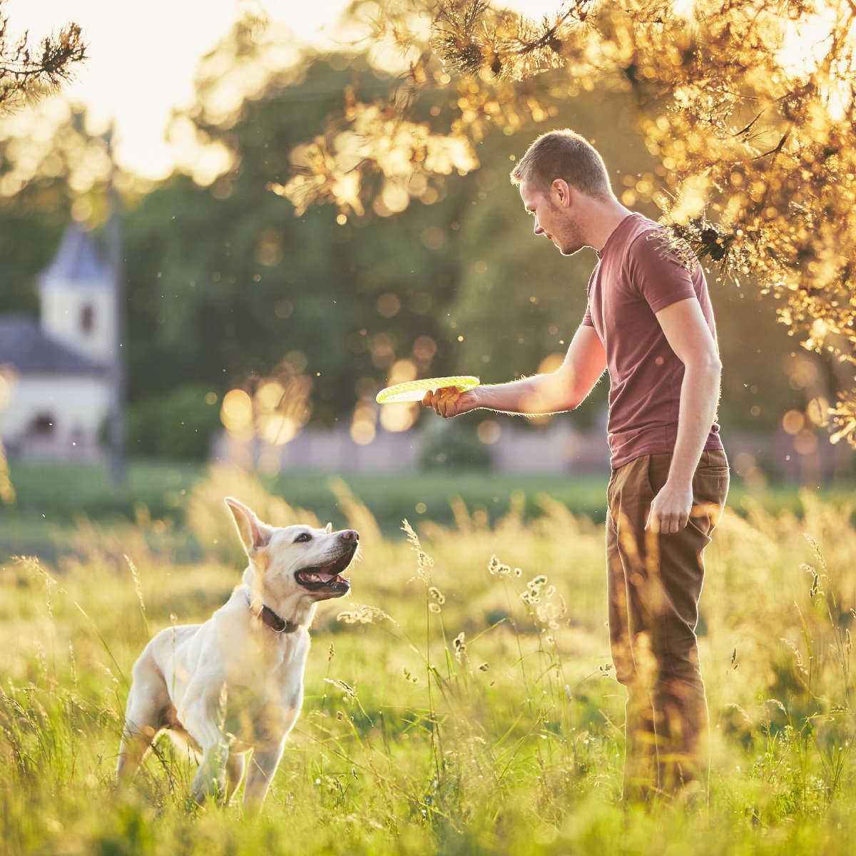 Salespage Tschuess Leinenrambo