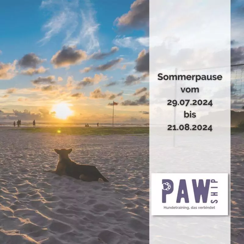 INSTA POST Sommerpause 2024 Willkommen bei PAWship - Hundetraining, das verbindet! Hundeschule & Verhaltensberatung | Faires & bedürfnisorientiertes Training in Mechernich und Umgebung oder online weltweit