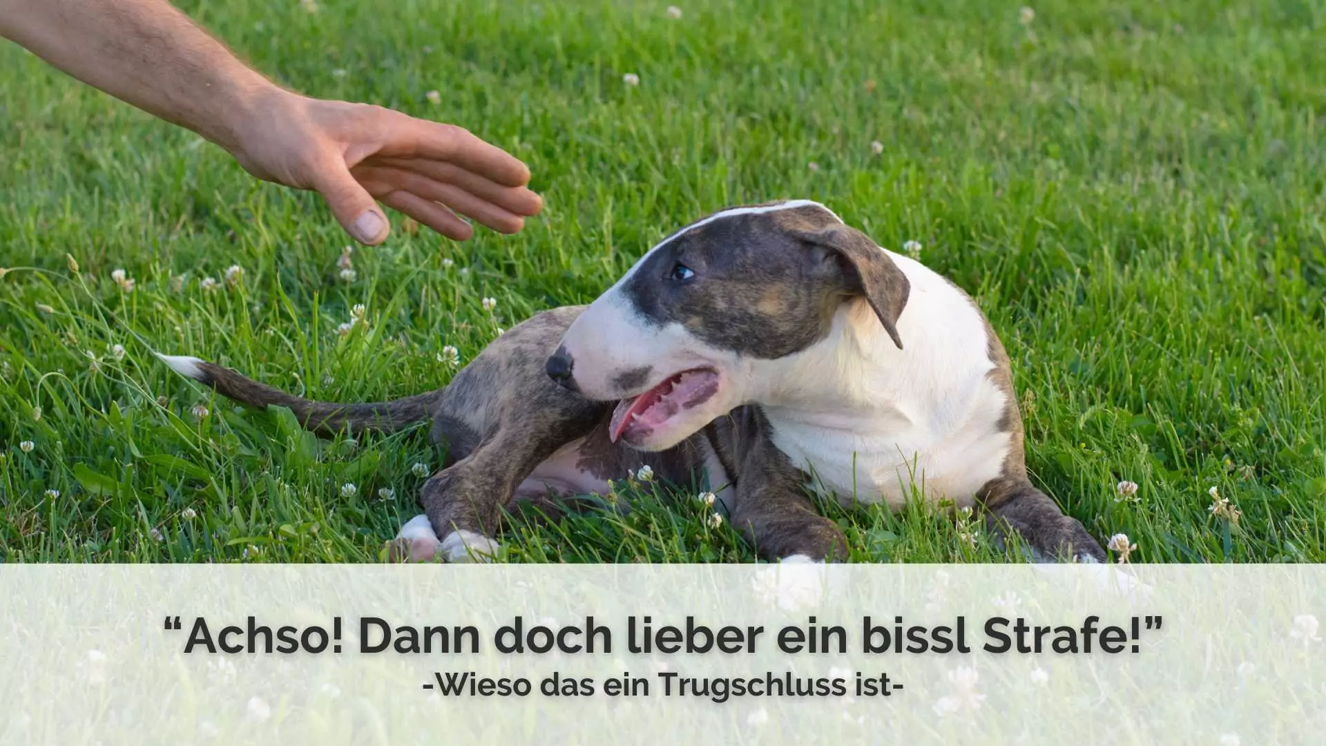 Achso! Dann doch lieber ein bissl Strafe… 😅