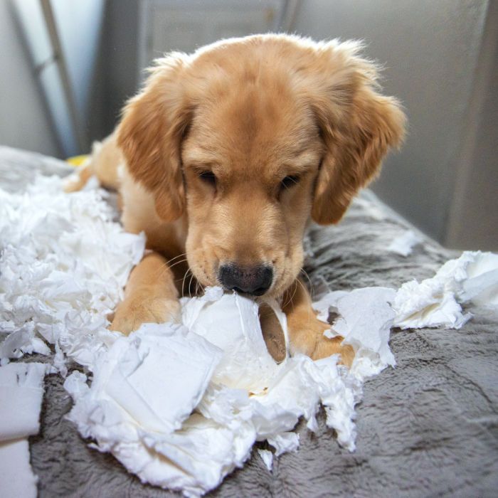 Über mich - Aufmerksamkeit und Ansprechbarkeit