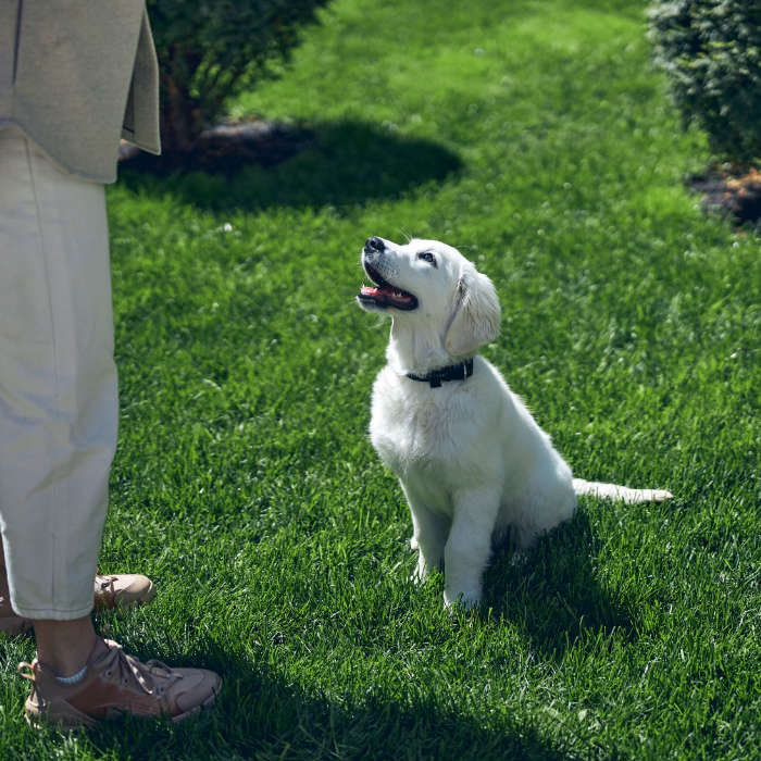 Über mich - Aufmerksamkeit und Ansprechbarkeit