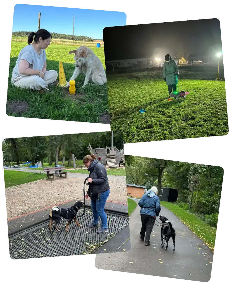 Kurs Dream Team - PAWship Hundetraining