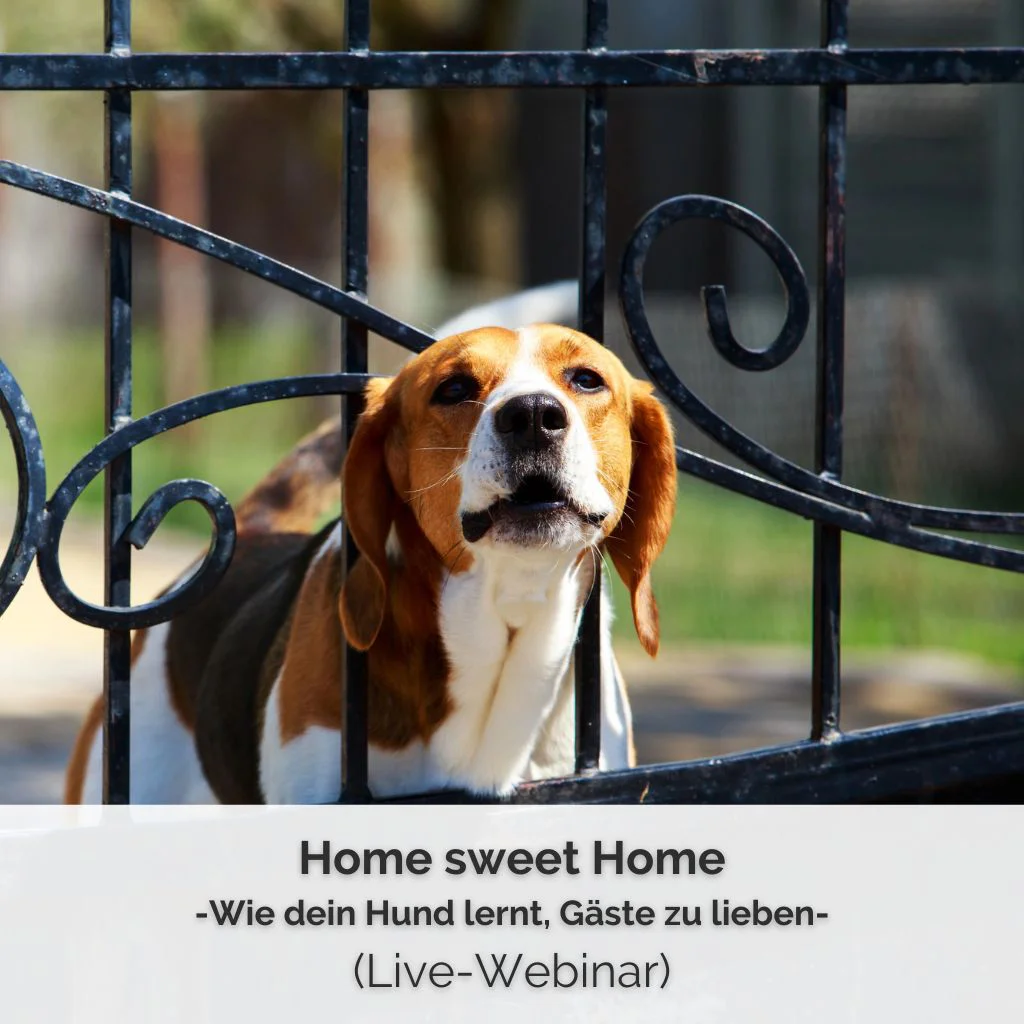 Bild zum Live-Webinar zum Thema Besuchertraining