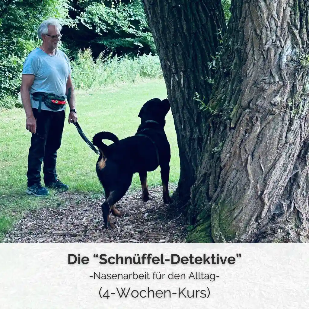 Shop-Bild für den 4-wöchigen Kurs zum Thema Nasenarbeit im Alltag