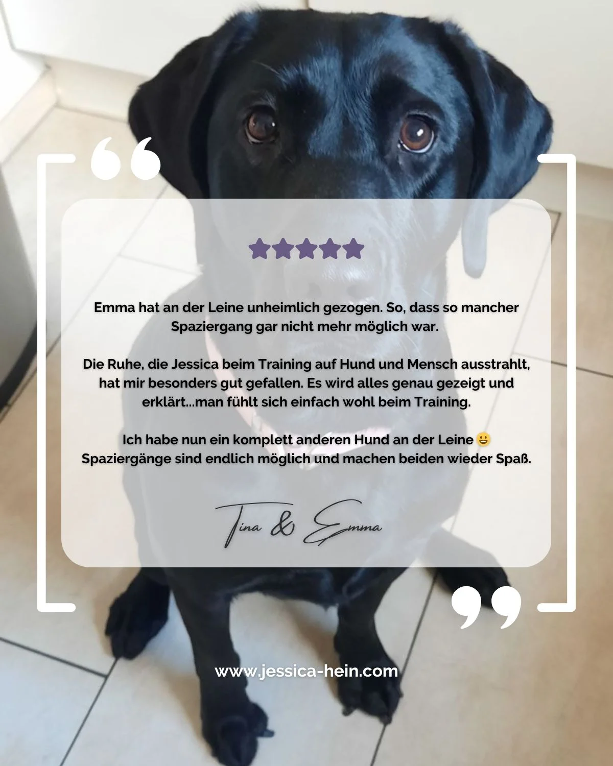 Testimonial, Kundenstimme von Tina & Emma zum Einzeltraining für Hunde mit Jessica Hein bei PAWship® in Mechernich