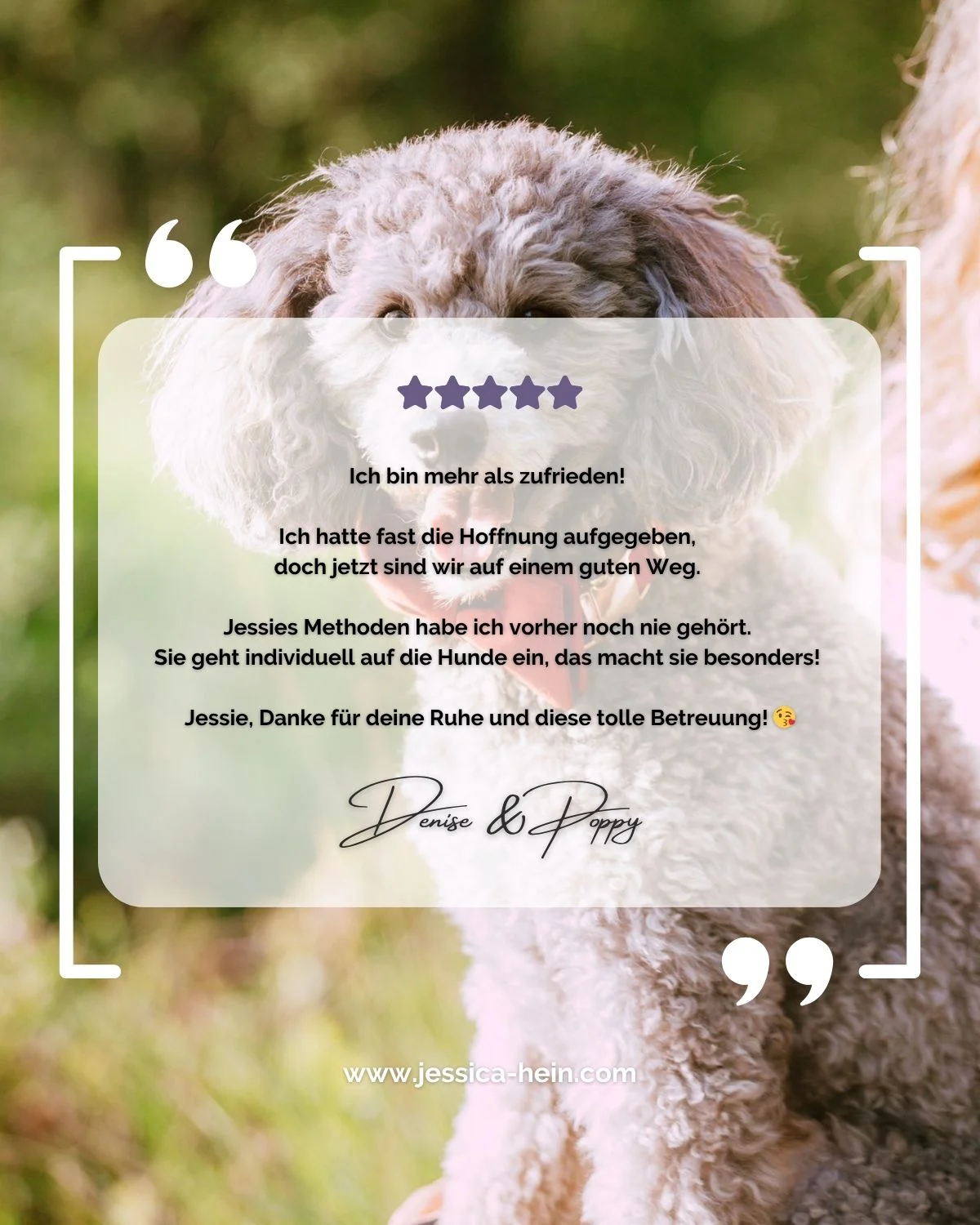 Testimonial, Kundenstimme von Denise & Poppy zum Einzeltraining für Hunde mit Jessica Hein bei PAWship® in Mechernich
